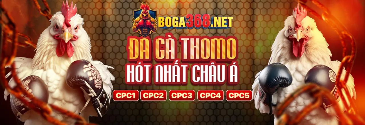 Cá cược Đá Gà trực tiếp tại VN6